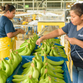 Naisten vaikutus­mahdollisuuksien lisääminen ja Chiquita