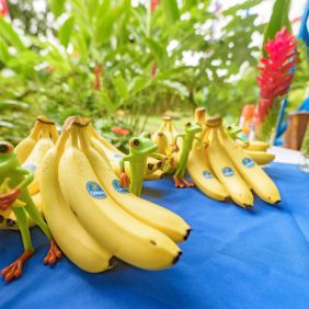 Nogalin luonnonsuojelualueen 20-vuotisjuhlan kunniaksi Chiquita on sitoutunut jatkamaan ympäristönsuojelutoimia alueella 10 vuoden ajan